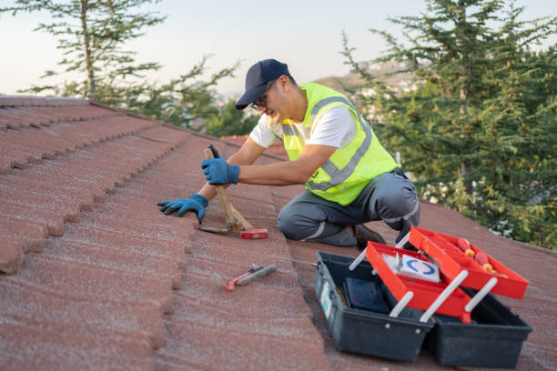 Roof Gutter Cleaning in Kirbyville, TX